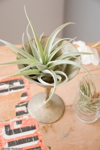 I found this cool looking metal goblet which fits this air plant perfectly
